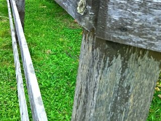 Обои трава, стиль, пейзаж, листва, осень, забор, ограда, деревянная ограда, grass, style, landscape, foliage, autumn, the fence, fence, a wooden fence разрешение 2891x4721 Загрузить