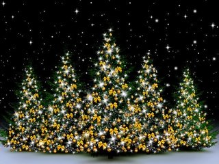 Обои снег, новый год, зима, елки, гирлянды, рождество, snow, new year, winter, tree, garland, christmas разрешение 2880x1800 Загрузить