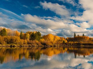 Обои небо, осень, облака, деревья, озеро, природа, лес, отражение, пейзаж, the sky, autumn, clouds, trees, lake, nature, forest, reflection, landscape разрешение 1920x1200 Загрузить