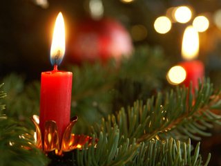 Обои новый год, елка, хвоя, ветки, свеча, рождество, new year, tree, needles, branches, candle, christmas разрешение 2880x1800 Загрузить