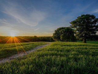 Обои природа, лес, пейзаж, утро, поле, рассвет, nature, forest, landscape, morning, field, dawn разрешение 1920x1080 Загрузить