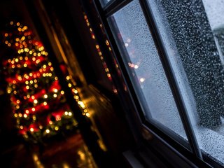 Обои новый год, елка, окно, рождество, огоньки, гирлянда, боке, alvaro miranda, new year, tree, window, christmas, lights, garland, bokeh разрешение 1920x1200 Загрузить