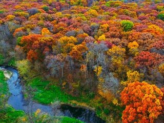 Обои деревья, река, природа, лес, листья, осень, trees, river, nature, forest, leaves, autumn разрешение 2880x1800 Загрузить