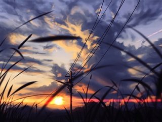 Обои трава, природа, закат, пейзаж, grass, nature, sunset, landscape разрешение 2000x1126 Загрузить