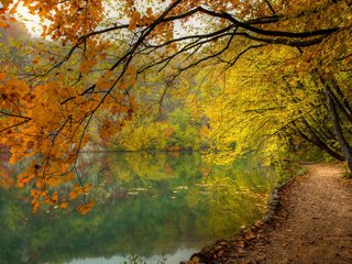 Обои озеро, природа, лес, осень, lake, nature, forest, autumn разрешение 1920x1200 Загрузить