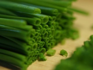 Обои зелень, лук, овощи, лук зеленый, greens, bow, vegetables, green onions разрешение 4752x3168 Загрузить