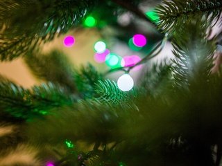Обои огни, хвоя, праздник, рождество, гирлянда, боке, lights, needles, holiday, christmas, garland, bokeh разрешение 5472x3648 Загрузить
