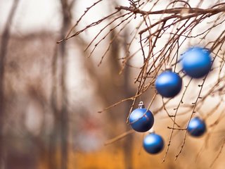 Обои новый год, шары, ветки, рождество, new year, balls, branches, christmas разрешение 1920x1200 Загрузить