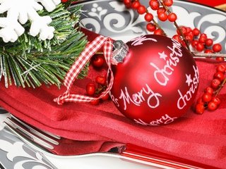 Обои новый год, украшения, рождество, елочные игрушки, new year, decoration, christmas, christmas decorations разрешение 2880x1800 Загрузить