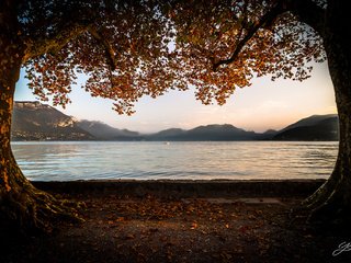 Обои деревья, озеро, горы, листья, ветки, осень, trees, lake, mountains, leaves, branches, autumn разрешение 2048x1365 Загрузить