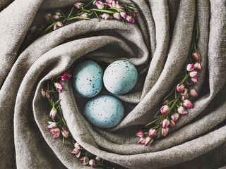 Обои цветы, ткань, пасха, яйца, праздник, гнездо, декор, flowers, fabric, easter, eggs, holiday, socket, decor разрешение 2048x1638 Загрузить