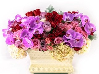 Обои цветы, розы, много, ваза, flowers, roses, a lot, vase разрешение 2560x1681 Загрузить