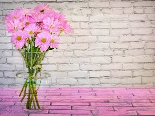 Обои цветы, букет, розовый, ваза, маргаритки, flowers, bouquet, pink, vase, daisy разрешение 5564x3710 Загрузить