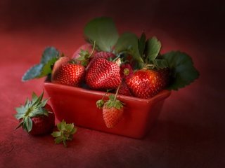 Обои ягода, клубника, спелая, земляника, сочная, berry, strawberry, ripe, strawberries, juicy разрешение 2048x1344 Загрузить