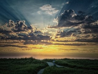 Обои восход, солнце, природа, поле, sunrise, the sun, nature, field разрешение 1920x1080 Загрузить