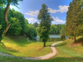 Обои облака, деревья, озеро, тропинка, пруд, clouds, trees, lake, path, pond разрешение 1920x1080 Загрузить