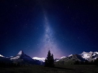 Обои небо, ночь, деревья, горы, звезды, ели, млечный путь, the sky, night, trees, mountains, stars, ate, the milky way разрешение 1920x1080 Загрузить