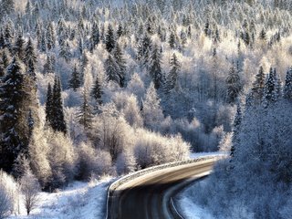 Обои дорога, лес, зима, иней, road, forest, winter, frost разрешение 2112x1188 Загрузить