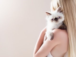 Обои девушка, фон, кошка, girl, background, cat разрешение 1920x1280 Загрузить