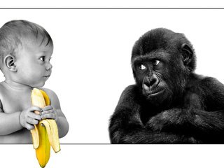 Обои ребенок, обезьяна, банан, child, monkey, banana разрешение 2560x1600 Загрузить