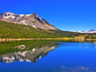 Обои озеро, горы, лес, lake, mountains, forest разрешение 1920x1080 Загрузить