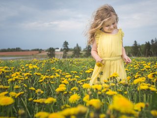 Обои цветы, природа, настроение, девочка, луг, одуванчики, flowers, nature, mood, girl, meadow, dandelions разрешение 2048x1288 Загрузить
