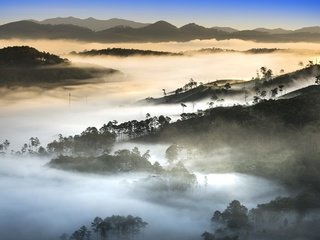 Обои деревья, холмы, природа, утро, туман, вьетнам, trees, hills, nature, morning, fog, vietnam разрешение 7680x4262 Загрузить