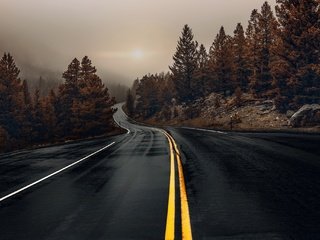 Обои дорога, деревья, вечер, природа, лес, туман, осень, road, trees, the evening, nature, forest, fog, autumn разрешение 2048x1365 Загрузить