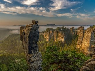 Обои облака, деревья, горы, скалы, утро, туман, германия, саксонская швейцария, clouds, trees, mountains, rocks, morning, fog, germany, saxon switzerland разрешение 2048x1365 Загрузить