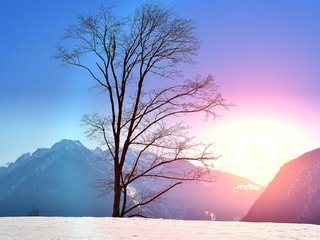 Обои деревья, горы, снег, природа, закат, зима, trees, mountains, snow, nature, sunset, winter разрешение 1920x1280 Загрузить