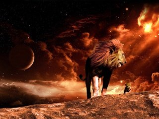 Обои космос, огонь, лев, львёнок, space, fire, leo, lion разрешение 1920x1080 Загрузить