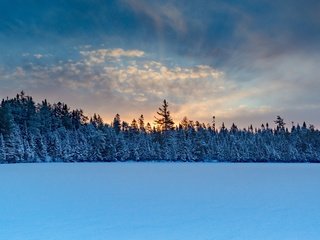 Обои небо, ель, облака, сумерки, деревья, снег, природа, лес, закат, зима, the sky, spruce, clouds, twilight, trees, snow, nature, forest, sunset, winter разрешение 3840x2160 Загрузить