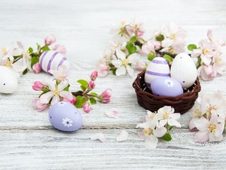 Обои цветы, ветки, пасха, праздник, яблоневый цвет, корзиночка, flowers, branches, easter, holiday, apple blossoms, basket разрешение 3819x2362 Загрузить