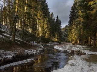 Обои деревья, река, снег, природа, лес, солнечный свет, trees, river, snow, nature, forest, sunlight разрешение 4500x3004 Загрузить