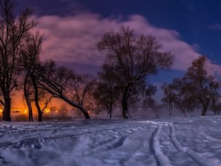 Обои деревья, огни, вечер, снег, природа, закат, зима, пейзаж, trees, lights, the evening, snow, nature, sunset, winter, landscape разрешение 2000x1125 Загрузить