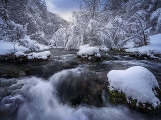 Обои деревья, ветки, вода, водопад, река, иней, поток, снег, речка, камни, течение, берег, заснеженный, лес, зима, trees, branches, water, waterfall, frost, river, stream, snow, stones, for, shore, snowy, forest, winter разрешение 2048x1366 Загрузить