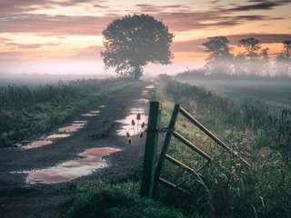 Обои дорога, природа, туман, road, nature, fog разрешение 3840x2160 Загрузить