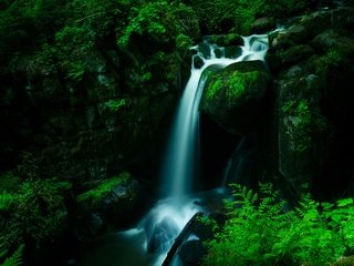 Обои лес, водопад, темный фон, forest, waterfall, the dark background разрешение 3840x2160 Загрузить