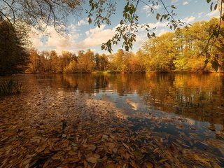 Обои озеро, листья, осень, lake, leaves, autumn разрешение 3840x2160 Загрузить