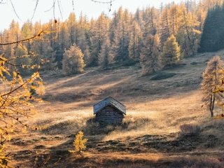 Обои природа, осень, домик, nature, autumn, house разрешение 3840x2160 Загрузить