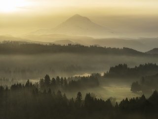 Обои природа, утро, туман, nature, morning, fog разрешение 3840x2160 Загрузить