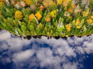 Обои река, лес, отражение, осень, river, forest, reflection, autumn разрешение 3000x1999 Загрузить