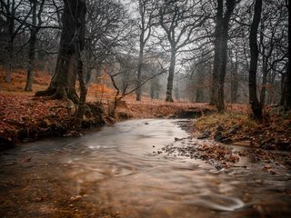 Обои река, природа, river, nature разрешение 3840x2160 Загрузить