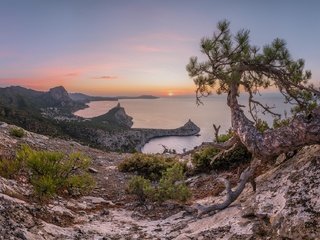 Обои скалы, крым, природа, пейзаж, море, утро, рассвет, осень, сосна, rocks, crimea, nature, landscape, sea, morning, dawn, autumn, pine разрешение 1980x1115 Загрузить