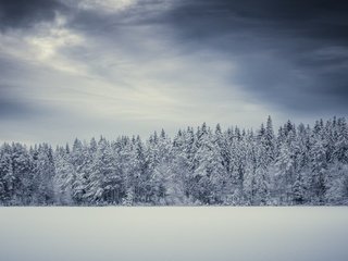 Обои снег, зима, поле, snow, winter, field разрешение 2048x1152 Загрузить