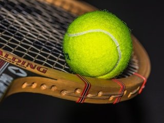 Обои спорт, мяч, ракетка, sport, the ball, racket разрешение 6000x4000 Загрузить