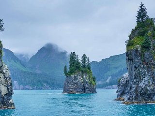 Обои сша, аляска, kenai fjords national park, usa, alaska разрешение 4193x2359 Загрузить