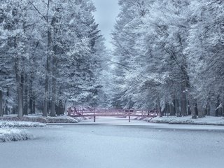 Обои деревья, парк, озеро, иней, снег, пруд, природа, берег, мостик, лес, зима, trees, park, lake, frost, snow, pond, nature, shore, the bridge, forest, winter разрешение 3840x2160 Загрузить