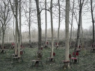 Обои деревья, природа, стволы, стулья, trees, nature, trunks, chairs разрешение 2048x1300 Загрузить