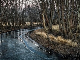 Обои деревья, река, природа, trees, river, nature разрешение 3840x2160 Загрузить